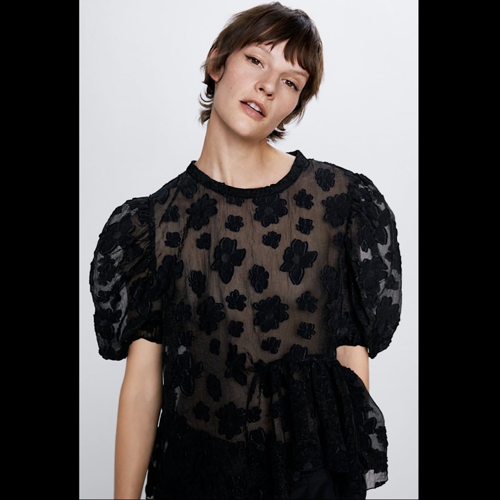 Zara Voluminous Organza Blouse - Picture 1 of 8